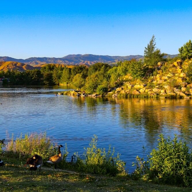 A peaceful lake bordered by green shrubs and rocks, with mountains in the background under a clear blue sky. A few geese stand on the grassy shore in the foreground.